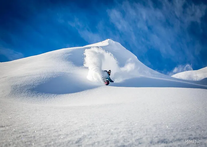 كولنست 4* مايرهوفن